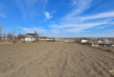 Terenuri la strada in Rosiori - 3