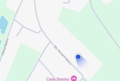 Vand 0.75 ha in Bazna cu 3 case, livada, gradina, pentru pensiune, camping... - 8