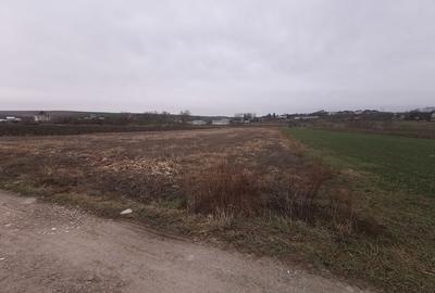 Terenuri in Rachiti - 3