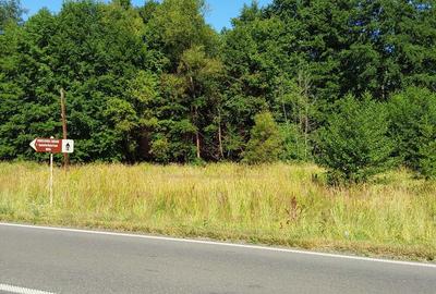 TEREN INTRAVILAN ÎN MARGA-LA DN68 JUD.CARAȘ-SEVERIN - 1