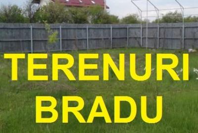 Teren Construcții intravilan de 500 mp, în Bradu