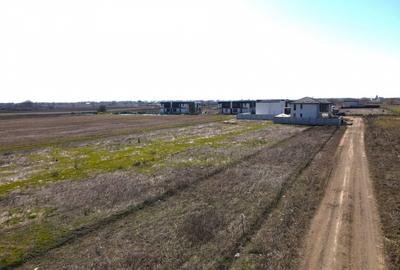 Teren Intravilan Zona Primaverii - Com Berceni | utilitati in zona | #EG27E - 6