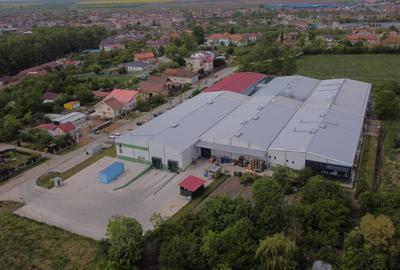 Hală producție/ depozitare de inchiriat Buziaș, Timiș - 2