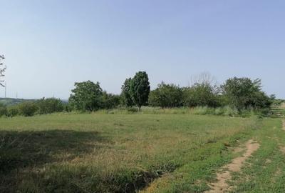 TEREN DE VANZARE SALDABAGIU DE MUNTE - 3
