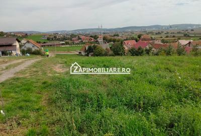 Teren intravilan 2248 mp - Nazna - 4