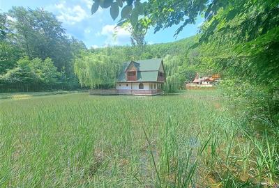 Casă individuală cu 6 camere în Pădurea Neagră