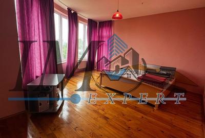 Casa de vânzare zona cetate (schit) - 4