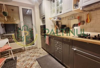 Apartament 2 camere cu balcon, renovat complet, Terezian - 6