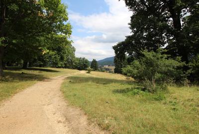 Vand teren Poiana Brasov,Stina  Turistica - 6