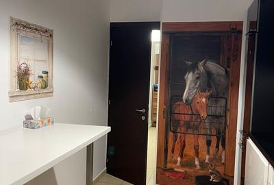 Inchiriere apartament 3 camere,Asmita Gardens,doua locuri de parcare - 7