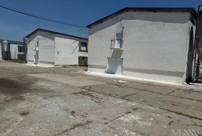 Hala | Spatiu depozitare, productie de inchiriat | Les, Bihor - 2