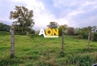 Teren Construcții intravilan de 12300 mp, în Central