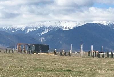 Teren deosebit Rasnov zona Kaufland - 7