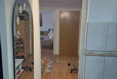 Vând apartament 2 camere decomandat zona Podgoriilor - 7