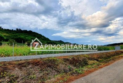 Teren Construcții intravilan de 2500 mp, în Livezeni