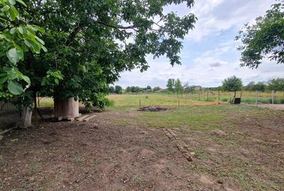 🏡 De vânzare – Casă boierească, Sat Giulvăz (jud. Timiș)- 717 - 16