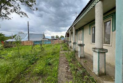 Casă + teren 4430 mp, vie și pomi fructiferi, 22 km de Tecuci - 6