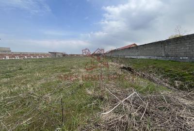 Teren intravilan pentru blocuri la asfalt | Bucovat - 5