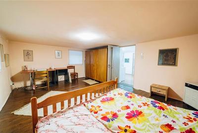 Vila in stil Art Nouveau (Targu Mures, str. Alexandru Papiu Ilarian) - 32