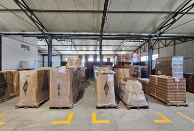 Hale Industriale 5065 mp de vanzare Str. Bradului - Bacau - 3