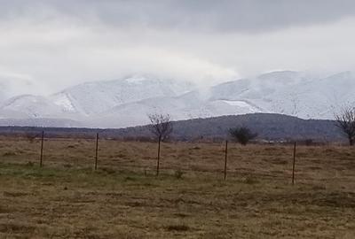 Teren intravilan 1000 mp Valea Avrigului