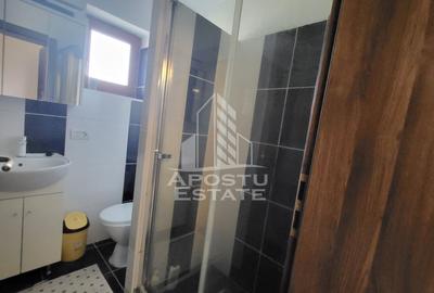 Duplex 5 camere, 3 bai, mobilat si utilat,Dumbravita - 10