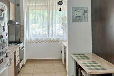 APARTAMENT CU 2 CAMERE PE MALUL LACULUI -CONFORT SI LINISTE - 8