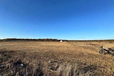 COMISION 0% | Teren Intravilan | Mosnita Veche | 775 mp | 26 m Front - 1