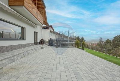 Vila moderna cu vedere spre padure Poiana Angelescu - 40