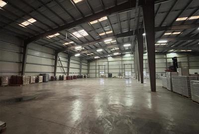 Inchiriere depozit/hala/spatiu industrial Chiajna - Ciorogarla A1 - KM13, ILFOV - 8