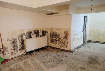 Spatiu comercial ultracentral - 1