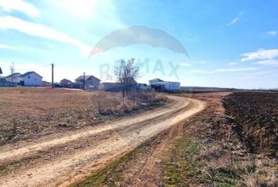 Teren Extravilan la granita cu Intravilanul - Măcheaua-Corbeanca - 3