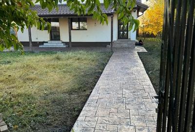 Casă parter, 3 dormitoare, teren 450 mp, Darza – Crevedia - 4