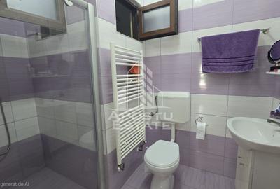 Casa individuala de vanzare cu 4 camere si garaj in Sag, vatra satului - 12