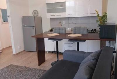 Apartament cu 2 camere, LOC PARCARE INCLUS IN PRET, zona Tatarasi - 3