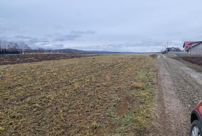 Loturi de teren intravilan la Tulbureni - 2