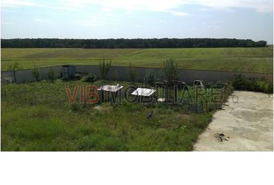 Craiova | Teren 17.400 mp | Deschidere 350 ml la DJ 552A | Între păduri de steja - 2