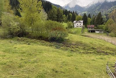 BORSA jud MARAMURES TEREN INTRAVILAN pentru CABANA - 9