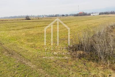 Teren intravilan de vanzare in Sibiu Talmaciu,  859 mp - 1