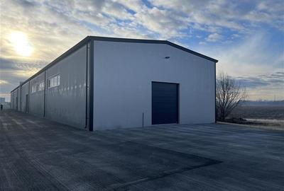 Inchiriere depozit/hala/spatiu industrial Pantelimon - Centura, ILFOV - 7