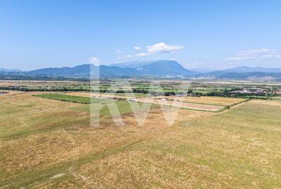 Teren de vânzare, 2.000 mp în Glăjerie, Râșnov, parcelat - COMISION 0% - 6