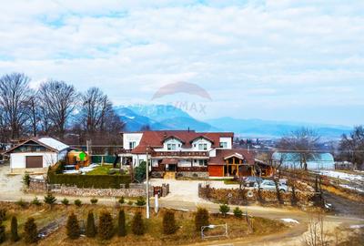 Cabana la Flo, 8 cam,P + M, teren 888 mp oportunitate de investitie ! - 10