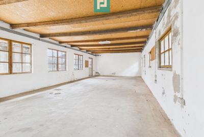 Spațiu versatil de 80 mp în Periam - 1