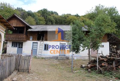 Casa si teren 5.000 mp, Stroesti - 6