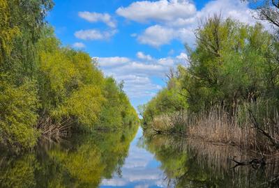 Teren spectaculos în Delta Dunării – ideal pentru complex turistic - 1