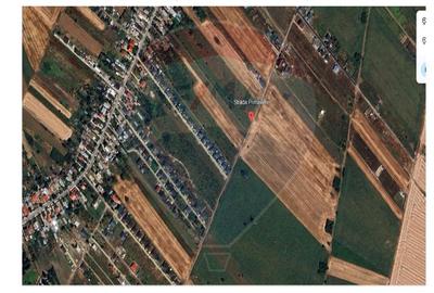 Teren Construcții intravilan de 7500 mp, în Săbăreni