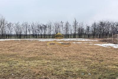 Teren de vanzare Siretu Saucesti Bacau - 6