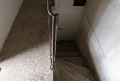Demisol inalt 115 mp, 5 camere, 2 intrari  - Zona Parcul Carol / ideal investiti - 15