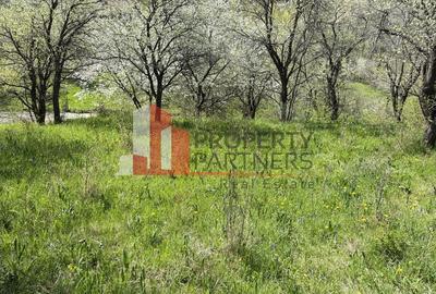 Teren 2500 mp Sohodol - 11