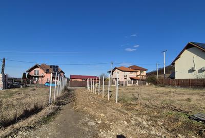 Casa pe un singur nivel-Sangeorgiu de Mures - 7
